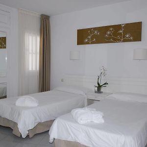 One-Bedroom Ground Floor Apartment